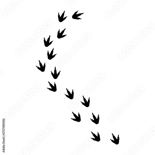 Footprint Dinosaur Silhouette Vector Illustration