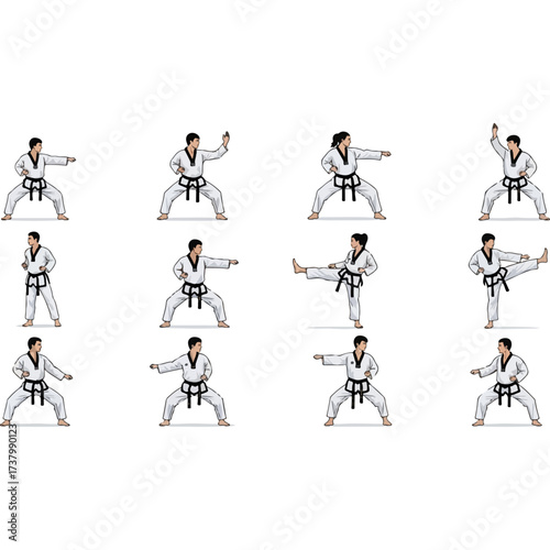 Taekwondo Poses - A Collection of Martial Arts Movements.