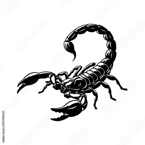 Detailed Scorpion Illustration in Black and White.