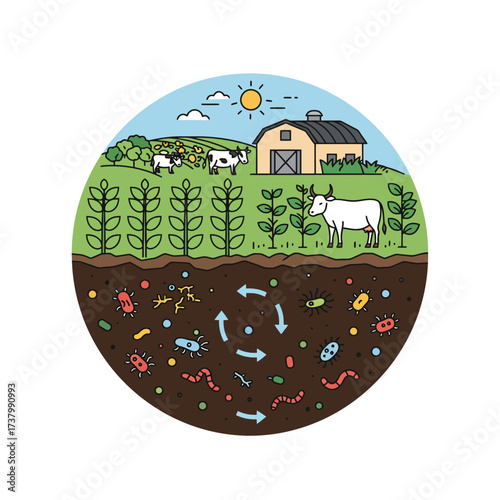 Illustration of a farm ecosystem showing the nutrient cycle in healthy soil with cows, crops, and microorganisms.