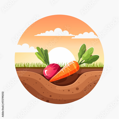 Freshly harvested carrots and radishes lying on rich soil at sunset in a field
