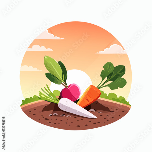 Freshly harvested carrots and radishes lying on rich soil at sunset in a field