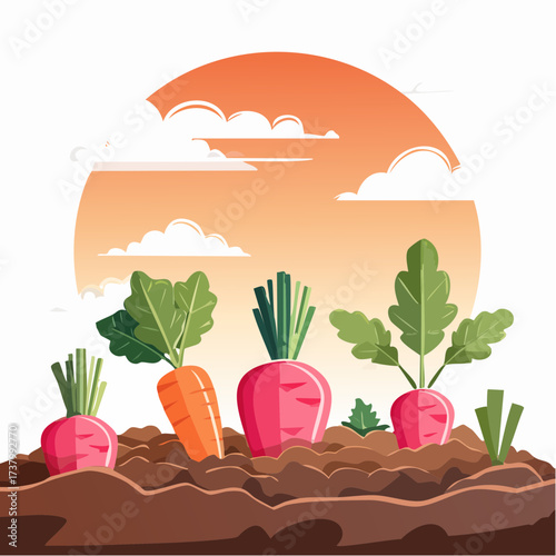 Freshly harvested carrots and radishes lying on rich soil at sunset in a field