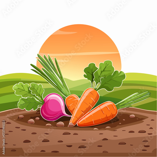 Freshly harvested carrots and radishes lying on rich soil at sunset in a field