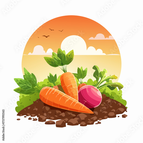Freshly harvested carrots and radishes lying on rich soil at sunset in a field