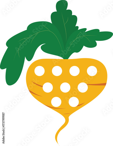 radish vegetable icon over white background. colorful design. vector illustration