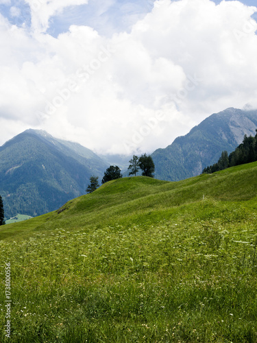 Green alpine meadow with rolling hills and mountain peaks, South Tyrol landscape, Italy