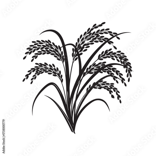 Thanksgivig Black Silhouette of Rice Stalks with Grains on White Background plant agriculture
