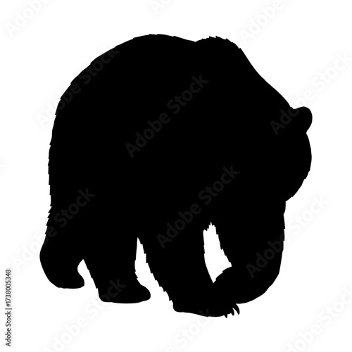 Bear Silhouette Vector Illustration , Animal Silhouette Vector