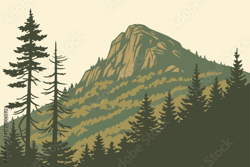 Mount Mitchell in North Carolina, tallest in eastern U.S., forested slopes with rocky alpine summit