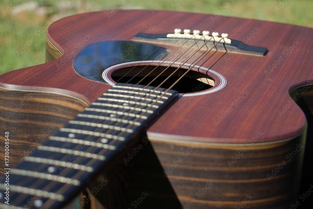 Naklejka premium Guitar in a field