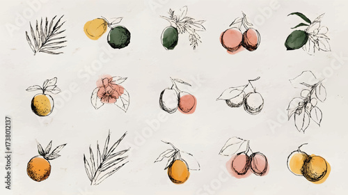 Hand-drawn fruit illustrations collection
