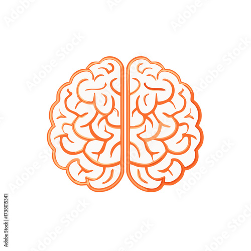 Brain Anatomy Illustration with Orange Outline for Medical and Educational Use