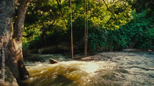 A running river stream with a swing