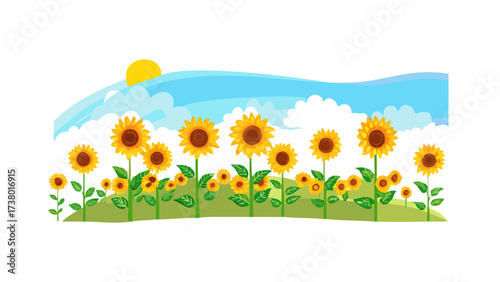 A field of sunflowers under a bright blue sky nature