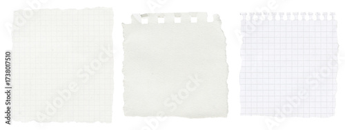 Set of Torn and Crumpled Paper Sheets. White notebook pages, blank notes and rough textured pieces isolated with transparent background