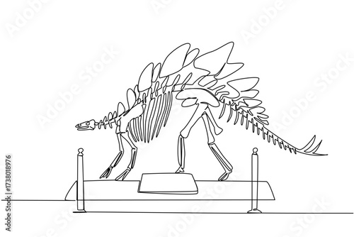 Continuous one line drawing stegosaurus dinosaur skeleton in museum room. Museum for learning. Giant extinct animals. Dangerous. International Museum Day. Single line draw design vector illustration