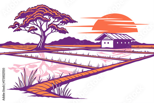 Colorful rice paddies reflecting sunset with tree and house