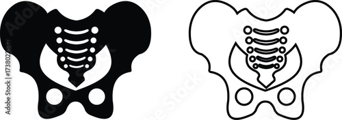 Human pelvis bone skeleton icon set collection group isolated on transparent background in black and line style, anatomy hip bone illustration, medical vector bundle design healthcare elements