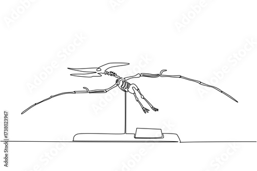 Single continuous line drawing pteranodon dinosaur skeleton in museum room. Wild animals flying in the past. Becoming a human threat. International Museum Day. One line design vector illustration