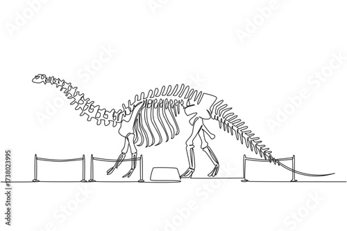 Continuous one line drawing brontosaurus dinosaur skeleton in museum room. Getting to know anatomy of predatory animal in the past International Museum Day. Single line draw design vector illustration