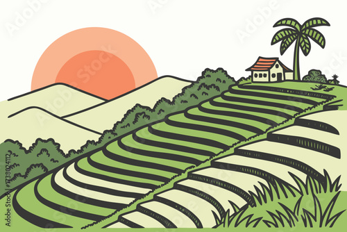 Green rice terraces with house and palm tree at sunset
