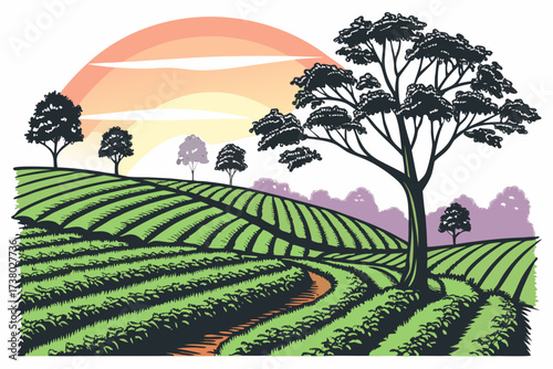 Rolling green tea fields at sunrise with stylized trees