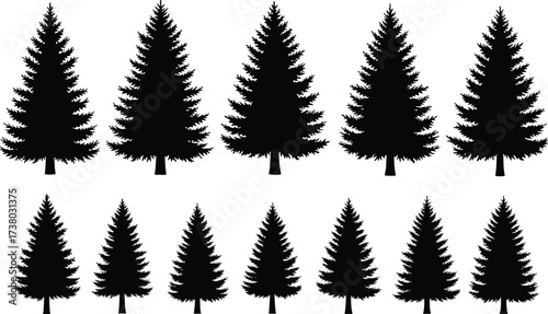 Pine tree silhouette set, evergreen forest illustration, Christmas tree design, black woodland background, conifer tree pattern, isolated nature vector shapes