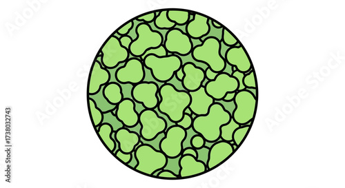 plant cell illustration a microscopic view of cellular structures in a light green background ideal for science education and biology textbooks.