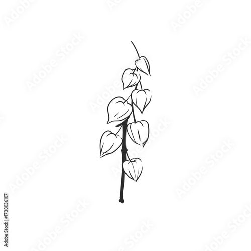 Hand drawn abstract vector graphic illustration outline with stylized line autumn forest branch design .Trendy modern doodle sketch botany drawing concept.Vector line nature sketch symbol.