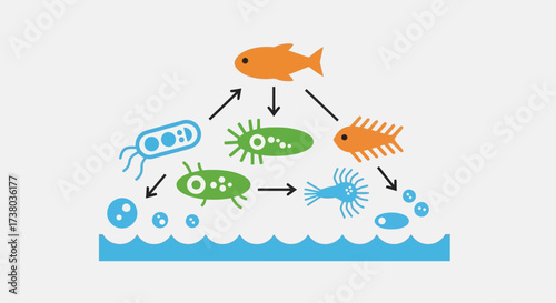 Aquatic Food Chain Illustration with Fish, Plankton, and Microorganisms.
