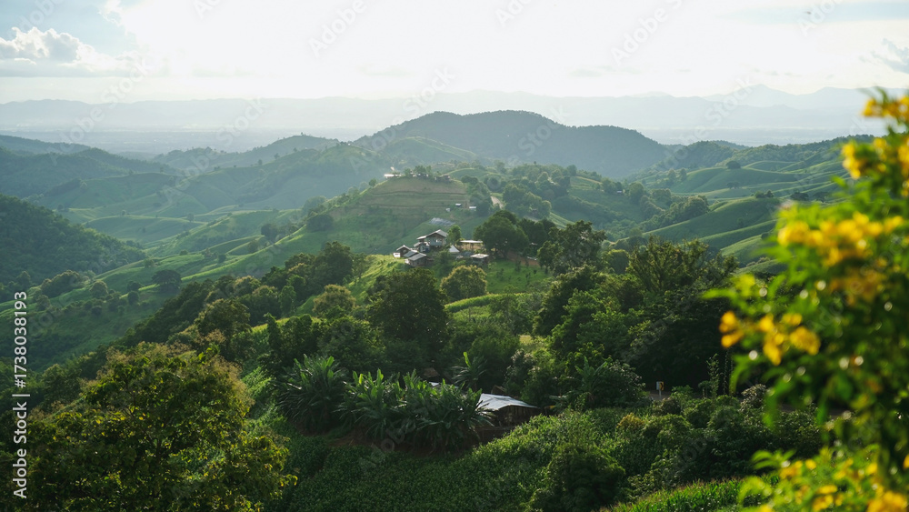 Fototapeta premium Wooden cabin in the forest and mountains