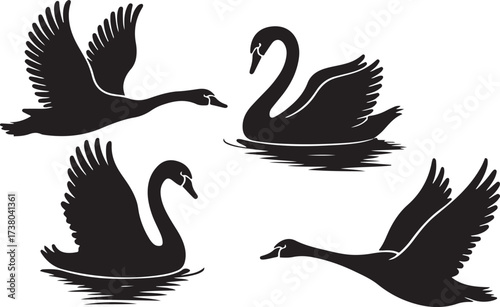 swan silhouette vector, bird wildlife art, elegant swan clipart, water bird design, black swan artwork, lake animal graphic, romantic swan illustration, couple swans svg, nature wildlife image, gracef