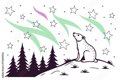 Bear looking up at aurora borealis and stars northern lights
