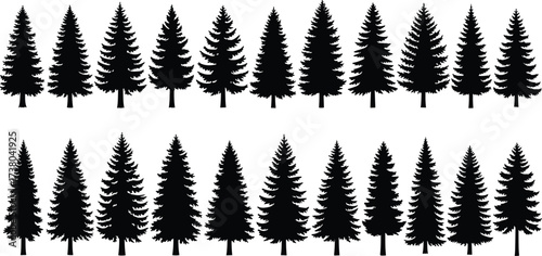 Silhouette pine trees, black forest illustration, evergreen conifer woodland, nature background, Christmas tree pattern, winter landscape, isolated tree design