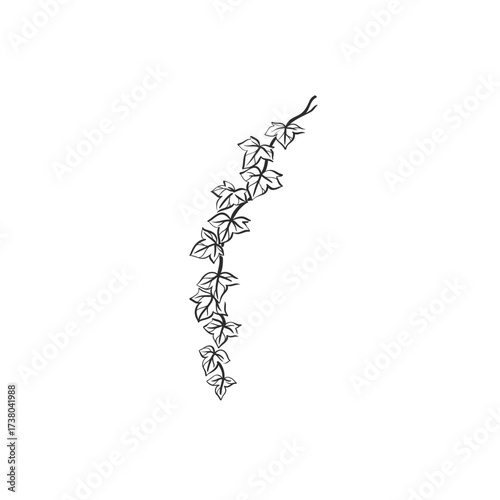 Hand drawn abstract vector graphic illustration outline with stylized line autumn forest branch design .Trendy modern doodle sketch botany drawing concept.Vector line nature sketch symbol.
