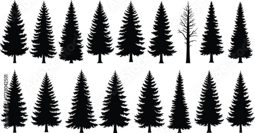 Silhouette pine trees, conifer forest illustration, evergreen woodland background, black Christmas trees, winter nature pattern, isolated tree design, dead tree included