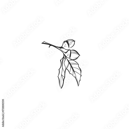 Hand drawn abstract vector graphic illustration outline with stylized line autumn forest branch design .Trendy modern doodle sketch botany drawing concept.Vector line nature sketch symbol.