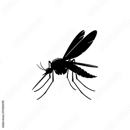 Silhouette of a mosquito