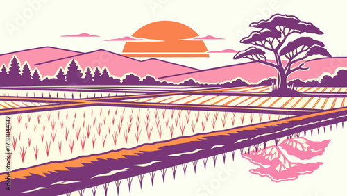 Colorful rice fields with a sunset and a large tree