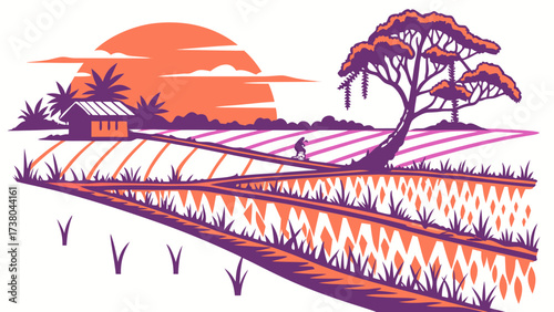 Colorful rice paddies with lone figure at sunset rice paddy