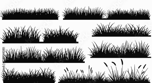 Collection of grass silhouettes