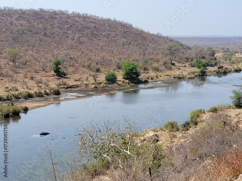 Canvas Print Orpen Dam in Kruger National Park with elephants, a hippo, and scenic river landscape under clear skies