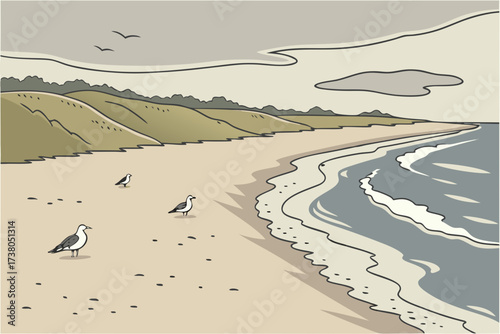 Nauset Beach in Orleans, Massachusetts, long sandy stretch with seagulls and foamy Atlantic tide