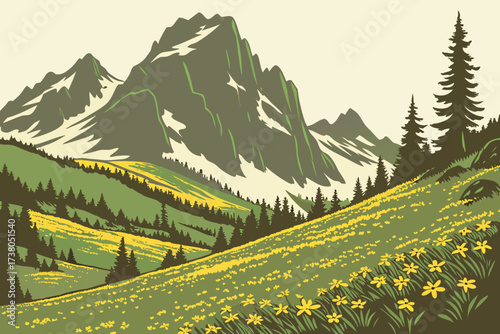 North Cascades Meadows in Washington, subalpine fields dotted with glacier lilies and jagged peaks