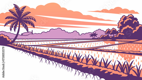 Tropical rice fields with palm tree at sunset vector