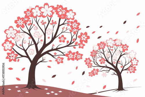 Two cherry blossom trees with falling petals sakura