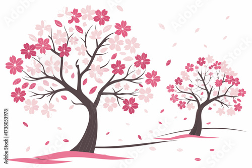 Two cherry blossom trees with pink flowers sakura