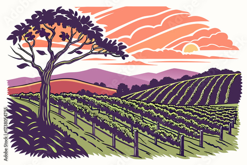Vineyard landscape at sunset with rolling hills and a lone tree