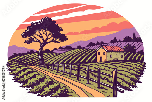 Vineyard landscape with house and sunset farm